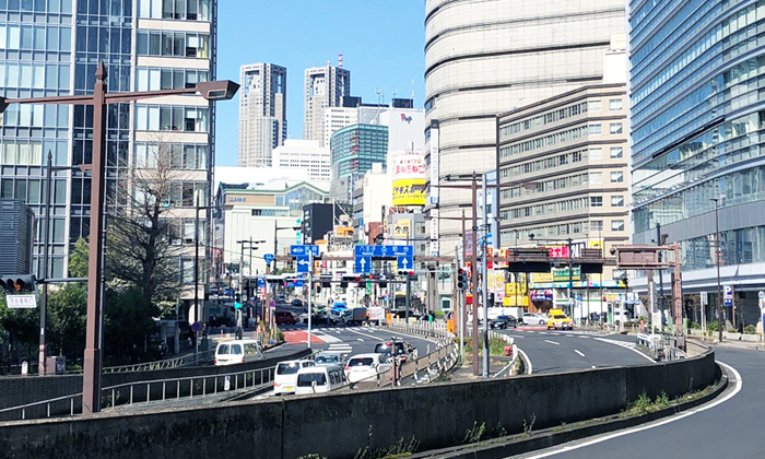 今日の新宿は穏やかな小春日和です スタッフブログ 省エネプランニング株式会社
